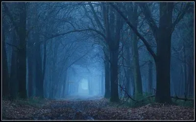 Bosque Azul, BÃ©lgica jigsaw puzzle