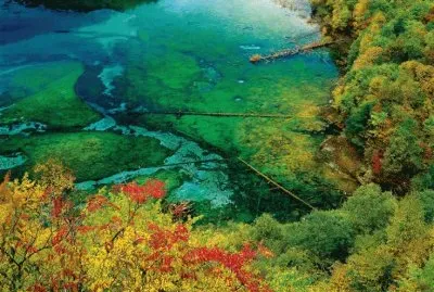 Bosque Jiuzhaigou, Sichuan, China