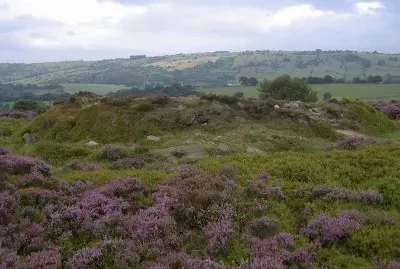 Bosque Stanton Moor, Reino Unido jigsaw puzzle
