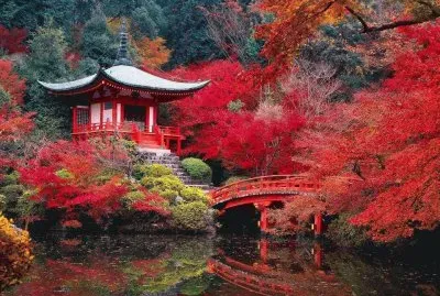 Dreamy place jigsaw puzzle