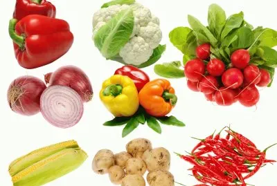 ç‡Ÿé¤Šè”¬èœ