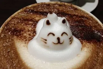 å’–å•¡æ‹‰èŠ± jigsaw puzzle