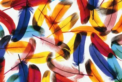 ç¹½ç´›åº•åœ– jigsaw puzzle