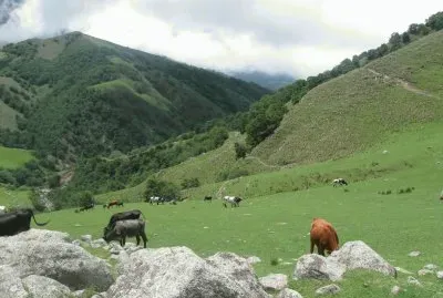 En Lules. TucumÃ¡n. Argentina