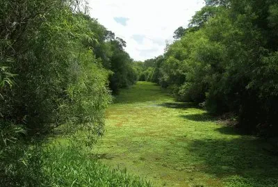 En el PN Chaco. Argentina