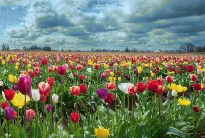 Paisatje jigsaw puzzle