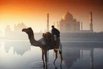 æ³°å§¬é™µ jigsaw puzzle