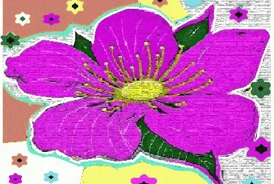 lily6