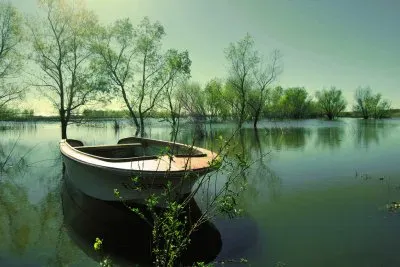 פאזל של Arroyo Barrancoso. Entre RÃ­os. Argentina