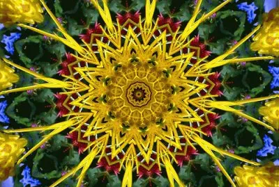 FaraÃ³n jigsaw puzzle