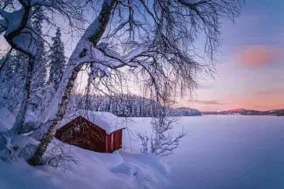 disfrutar jigsaw puzzle