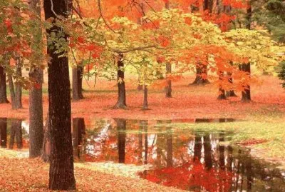 todo paisaje jigsaw puzzle