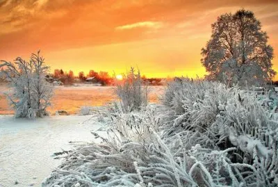 todo paisaje jigsaw puzzle