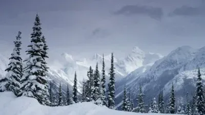 todo paisaje jigsaw puzzle