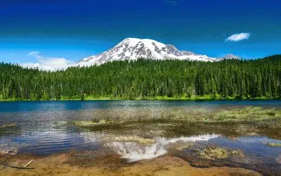 todo paisaje