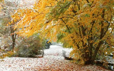 todo paisaje jigsaw puzzle