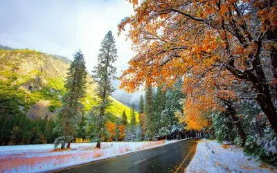 todo paisaje jigsaw puzzle