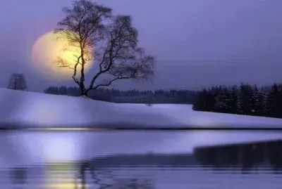 todo paisaje jigsaw puzzle