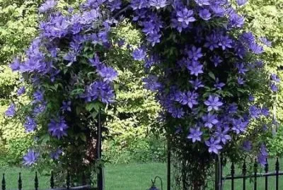 todo paisaje jigsaw puzzle