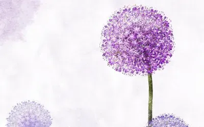 ä¿¡ç´™èƒŒæ™¯åº•åœ– jigsaw puzzle