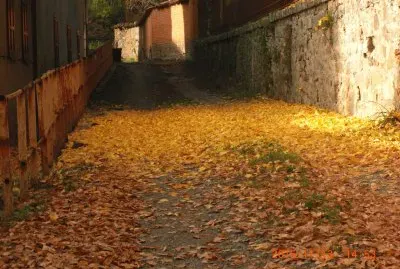 AUTUNNO COSSILA jigsaw puzzle
