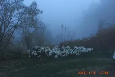 NEBBIA IN VALLE