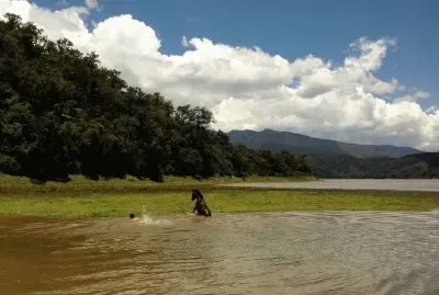 Huamanpata