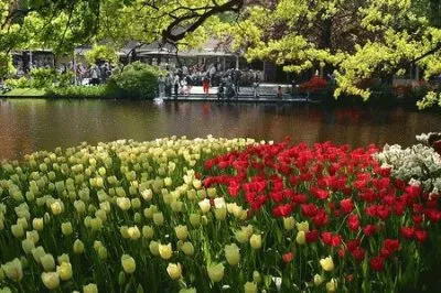 rojiblanco jigsaw puzzle