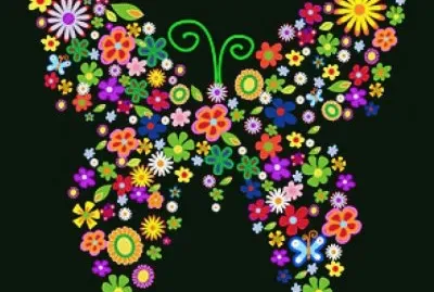 mariposa jigsaw puzzle