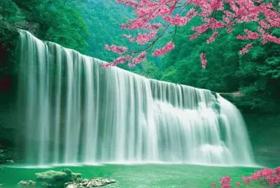 é»ƒæžœæ¨¹ç€‘å¸ƒ jigsaw puzzle