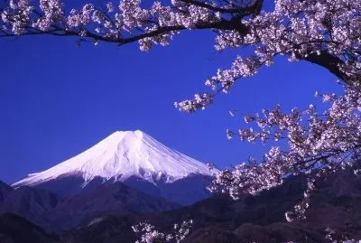 todo paisaje jigsaw puzzle