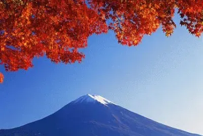 NATUREZA jigsaw puzzle