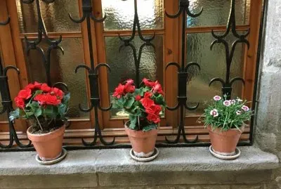 ventana jigsaw puzzle