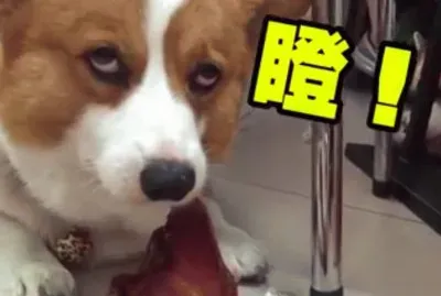 é€£ç’°æ³¡æœ‰èŠ’æžœ