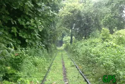 todo paisaje