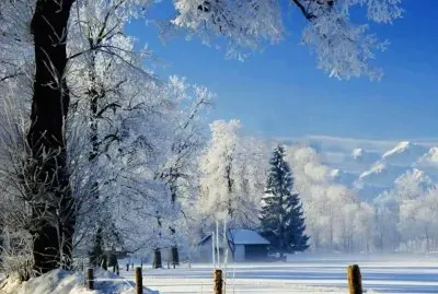 todo paisaje