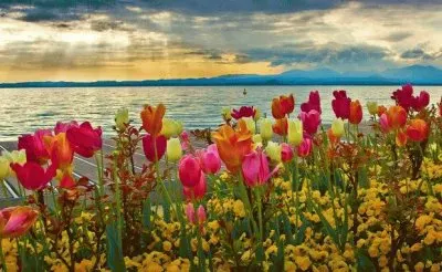 todo paisaje jigsaw puzzle