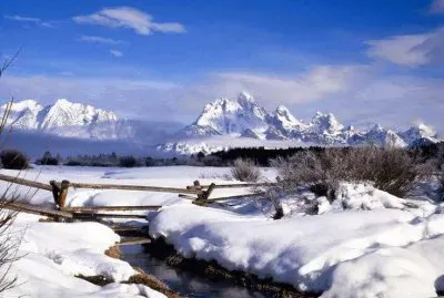 todo paisaje