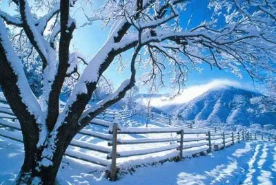 todo paisaje jigsaw puzzle