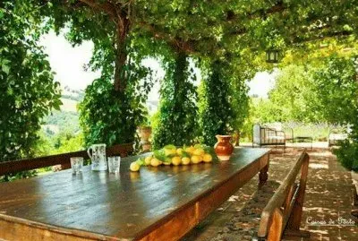 todo paisaje jigsaw puzzle