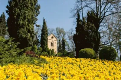 NATUREZA jigsaw puzzle