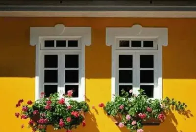 todo paisaje jigsaw puzzle