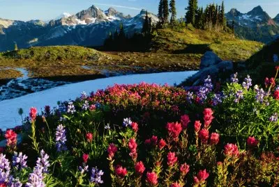 Mountains