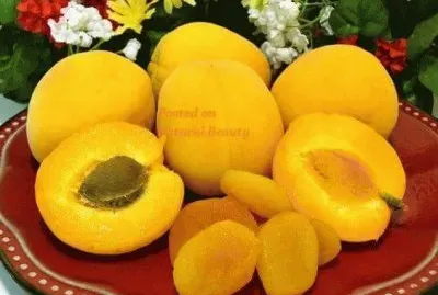 פאזל של imagens