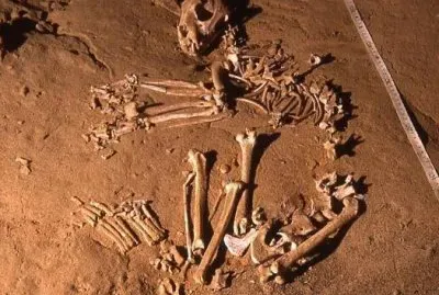 Bear Skeleton in Blackrock cave