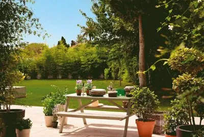 disfrutar jigsaw puzzle