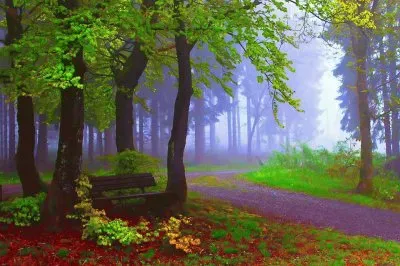 todo paisaje jigsaw puzzle