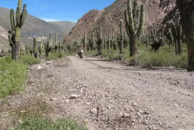 Huachichocana. Jujuy. Argentina