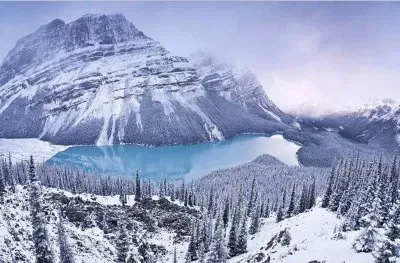 Paisajes, naturaleza con vida animal