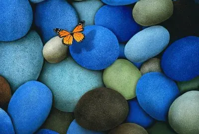 Orange-Butterfly-On-Blue